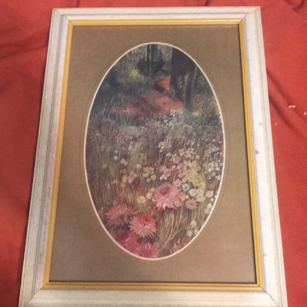 Botanical print signed by JENKINS